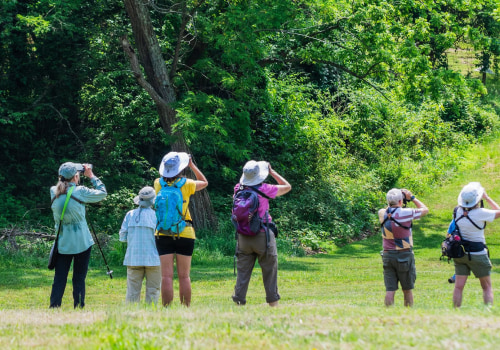 Youth Events in Southern Maryland: A Comprehensive Guide to Fun and Engaging Activities for Young People