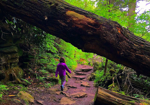 The Ultimate Guide to Youth Events in Southern Maryland