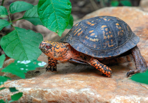 Navigating the Refund Policy for Youth Events in Southern Maryland